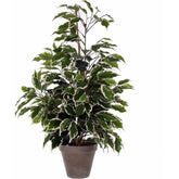 Mica Decorations Ficus Exotica Green Variegated Artificial Plant d13,5cm - h66,